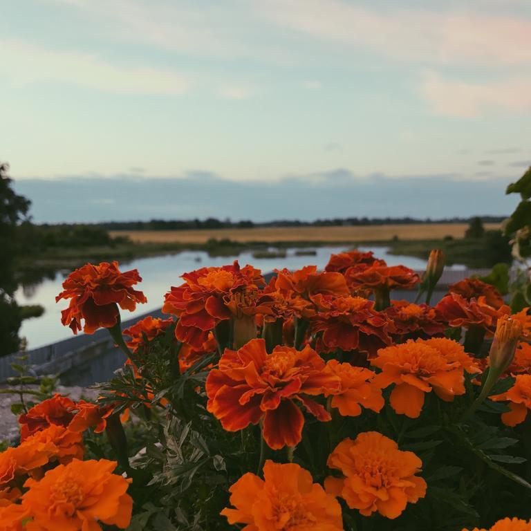 Ilmatsalu Motell Luaran gambar